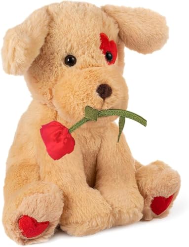 Oukiwi 10 Inch Valentine's Plush Bear Holding Heart with Rose - Soft Stuffed Animal Gift for Loved Ones