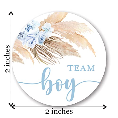 Pampas Grass Gender Reveal Stickers – 40 Labels (20 Pink, 20 Blue) by InvitationHouse