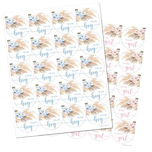 Pampas Grass Gender Reveal Stickers – 40 Labels (20 Pink, 20 Blue) by InvitationHouse