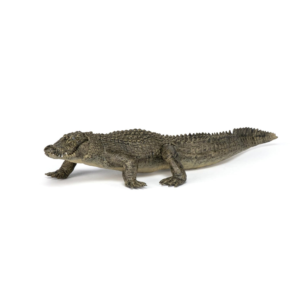 Papo Alligator Figure – Realistic Wild Life Toy for Kids Ages 3+
