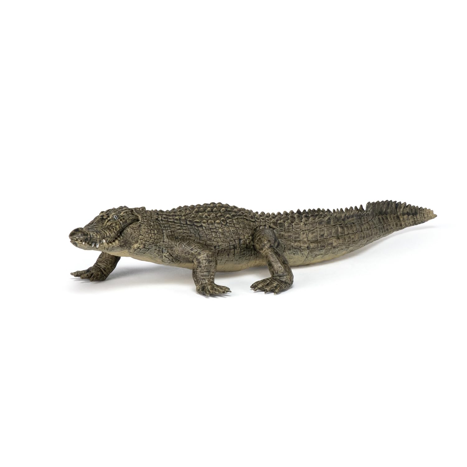 Papo Alligator Figure – Realistic Wild Life Toy for Kids Ages 3+