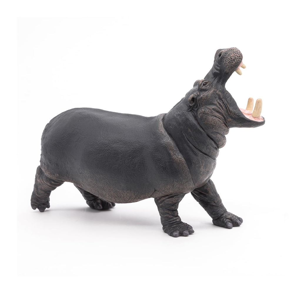 Papo Hippopotamus Toy Figure – Hand-Painted Realistic Wild Animal Figurine