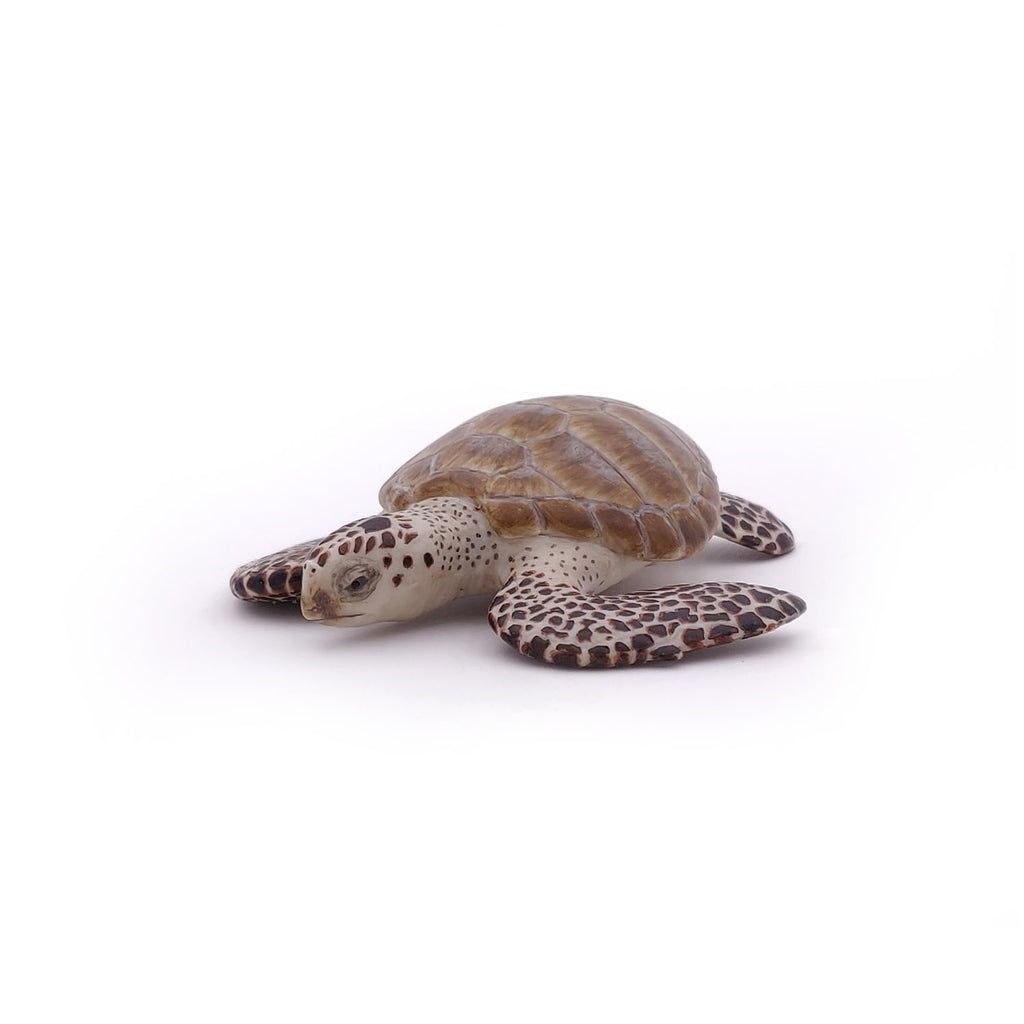 Papo Loggerhead Sea Turtle Figurine – Realistic Marine Life Toy for Kids Ages 3+
