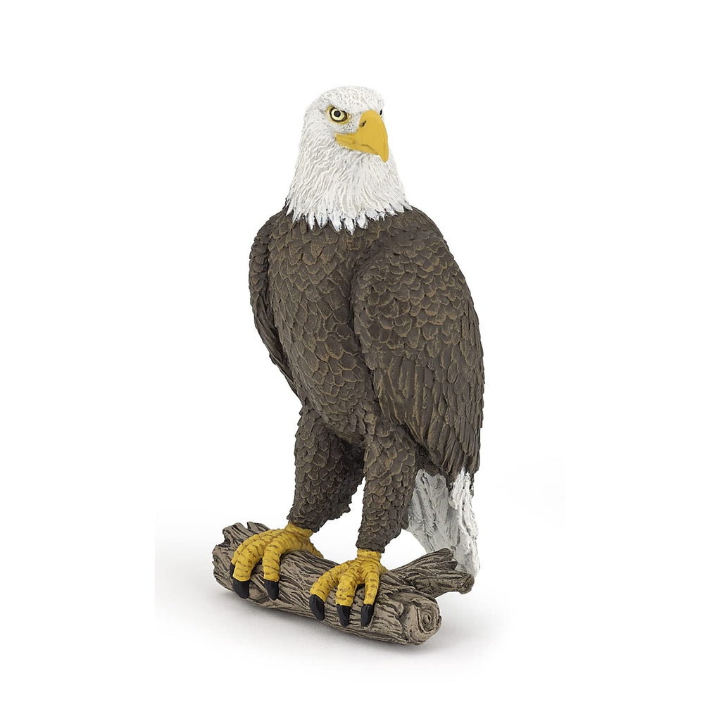Papo White-Tailed Eagle Figurine – Realistic Raptor Toy for Ages 3+ | Wild Life Collection
