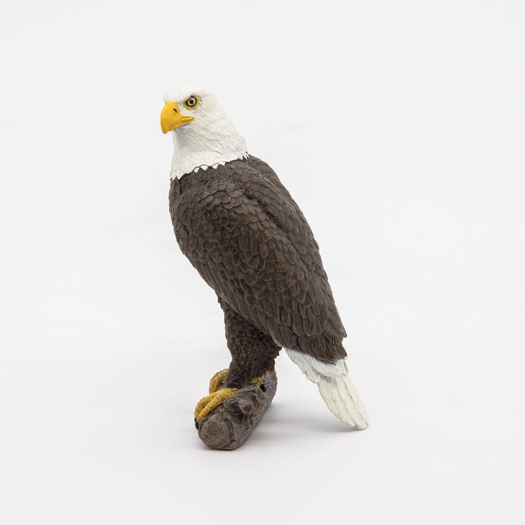 Papo White-Tailed Eagle Figurine – Realistic Raptor Toy for Ages 3+ | Wild Life Collection