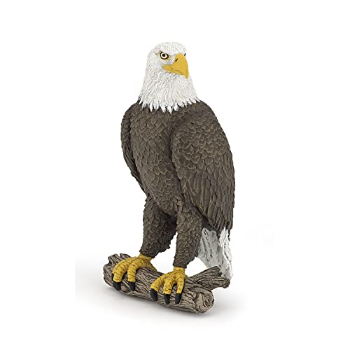 Papo White-Tailed Eagle Figurine – Realistic Raptor Toy for Ages 3+ | Wild Life Collection