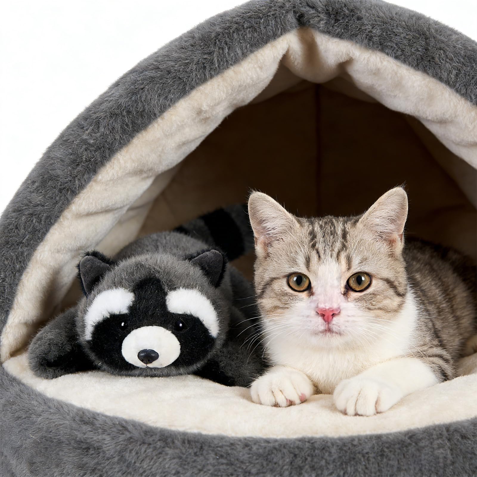 PEACH CAT Slightly Weighted Scented Raccoon Plush – 6.5 inch Cuddly Toy for Kids, Gift Box