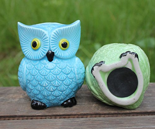 Personalized Ceramic Owl Piggy Bank – Handcrafted Money Saving Bank for Kids