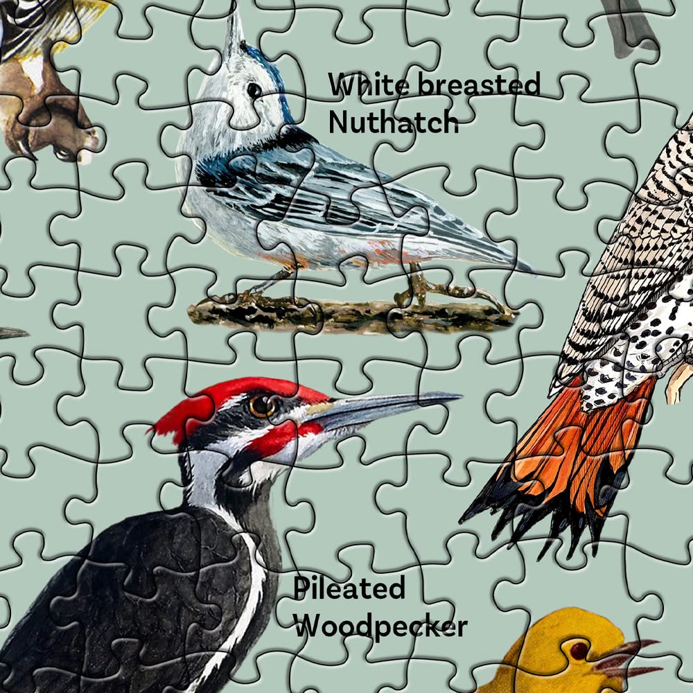 PICKFORU 1000 Piece Bird Puzzle – Backyard Birds of North America with 47 Species Labeled