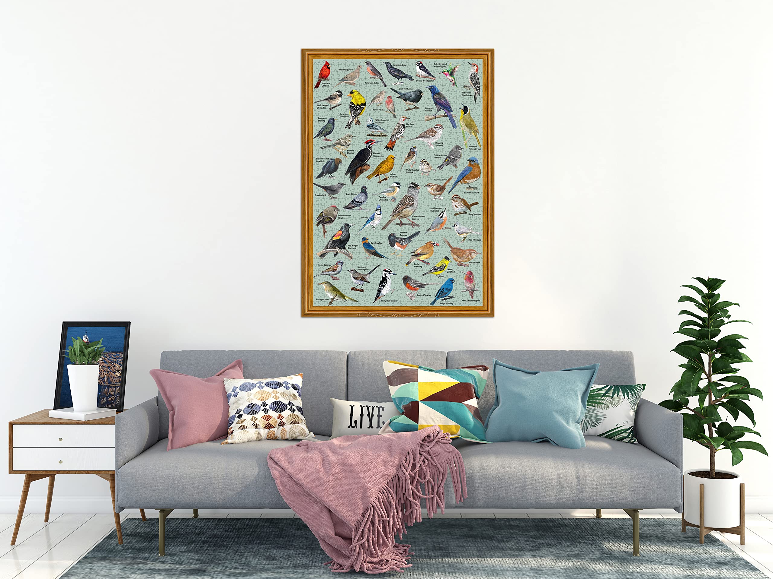 PICKFORU 1000 Piece Bird Puzzle – Backyard Birds of North America with 47 Species Labeled