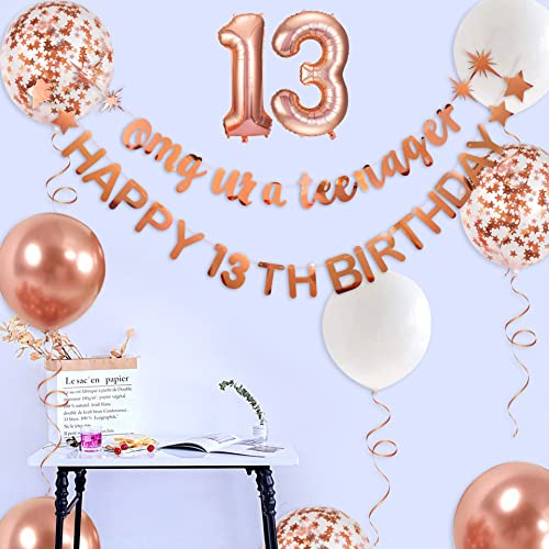 pinkblume Rose Gold 13th Birthday Banner Set – OMG Ur A Teenager & Happy 13th Decorations