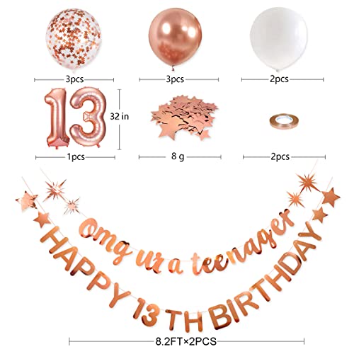 pinkblume Rose Gold 13th Birthday Banner Set – OMG Ur A Teenager & Happy 13th Decorations