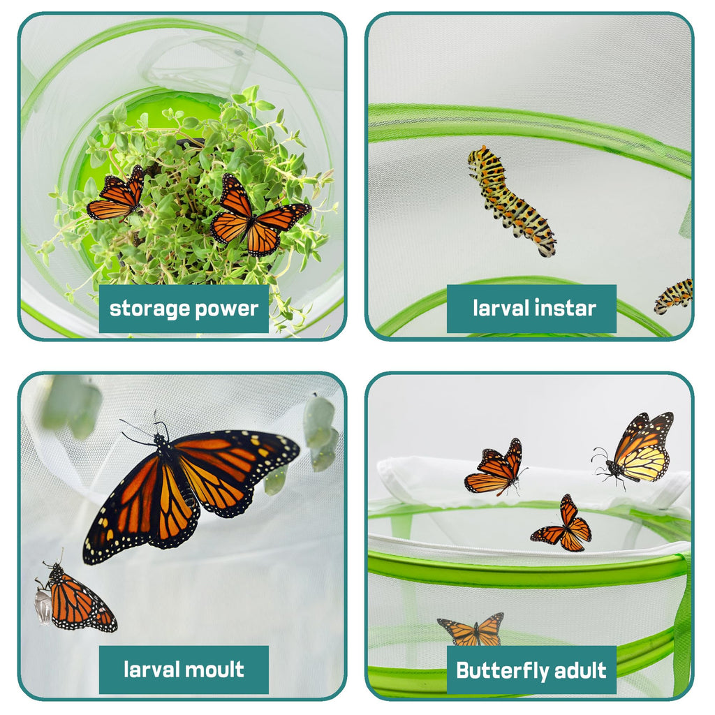 Pop-Up Butterfly Habitat Cage – 12" x 12" x 14" Green Mesh Insect Net with Double Zipper