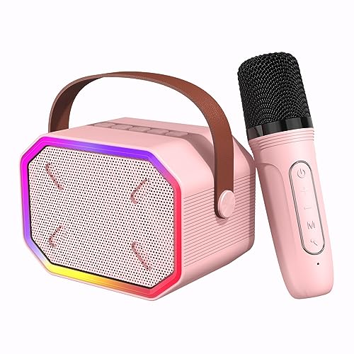Portable Karaoke Machine for Kids & Adults – Bluetooth Speaker with Wireless Microphone, Pink