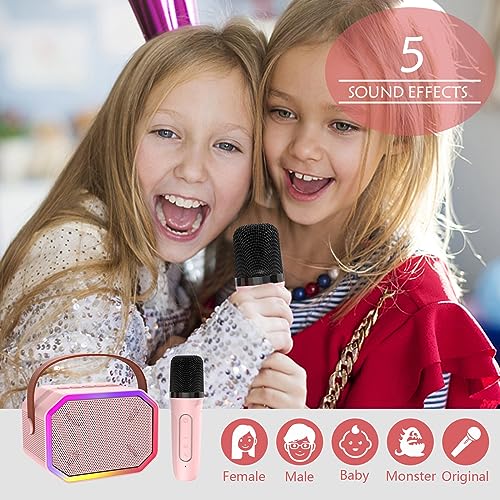 Portable Karaoke Machine for Kids & Adults – Bluetooth Speaker with Wireless Microphone, Pink