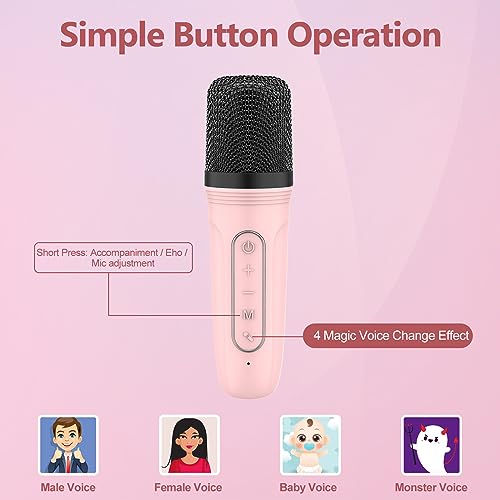 Portable Karaoke Machine for Kids & Adults – Bluetooth Speaker with Wireless Microphone, Pink