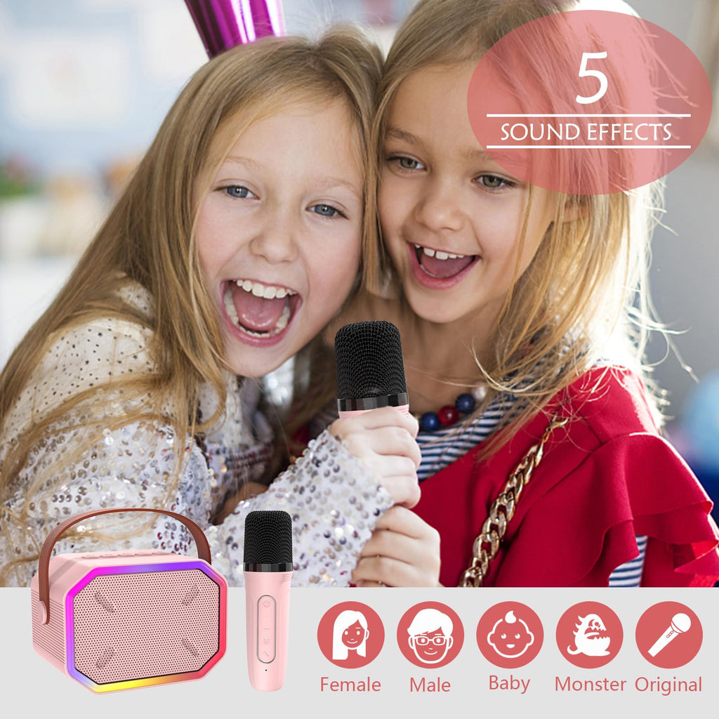 Portable Karaoke Machine for Kids & Adults – Bluetooth Speaker with Wireless Microphone, Pink