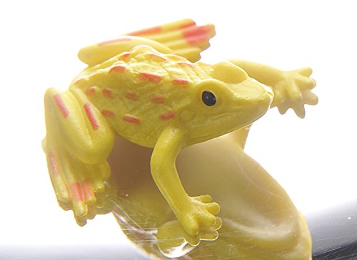 PowerTRC 6" 3-D Mirascope – Optical Illusion Toy with Holographic Projection and Included Frog