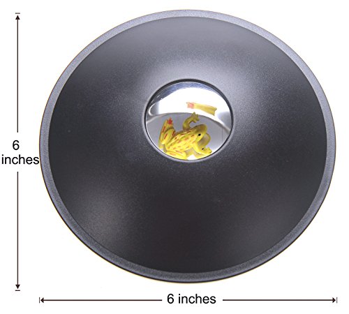 PowerTRC 6" 3-D Mirascope – Optical Illusion Toy with Holographic Projection and Included Frog