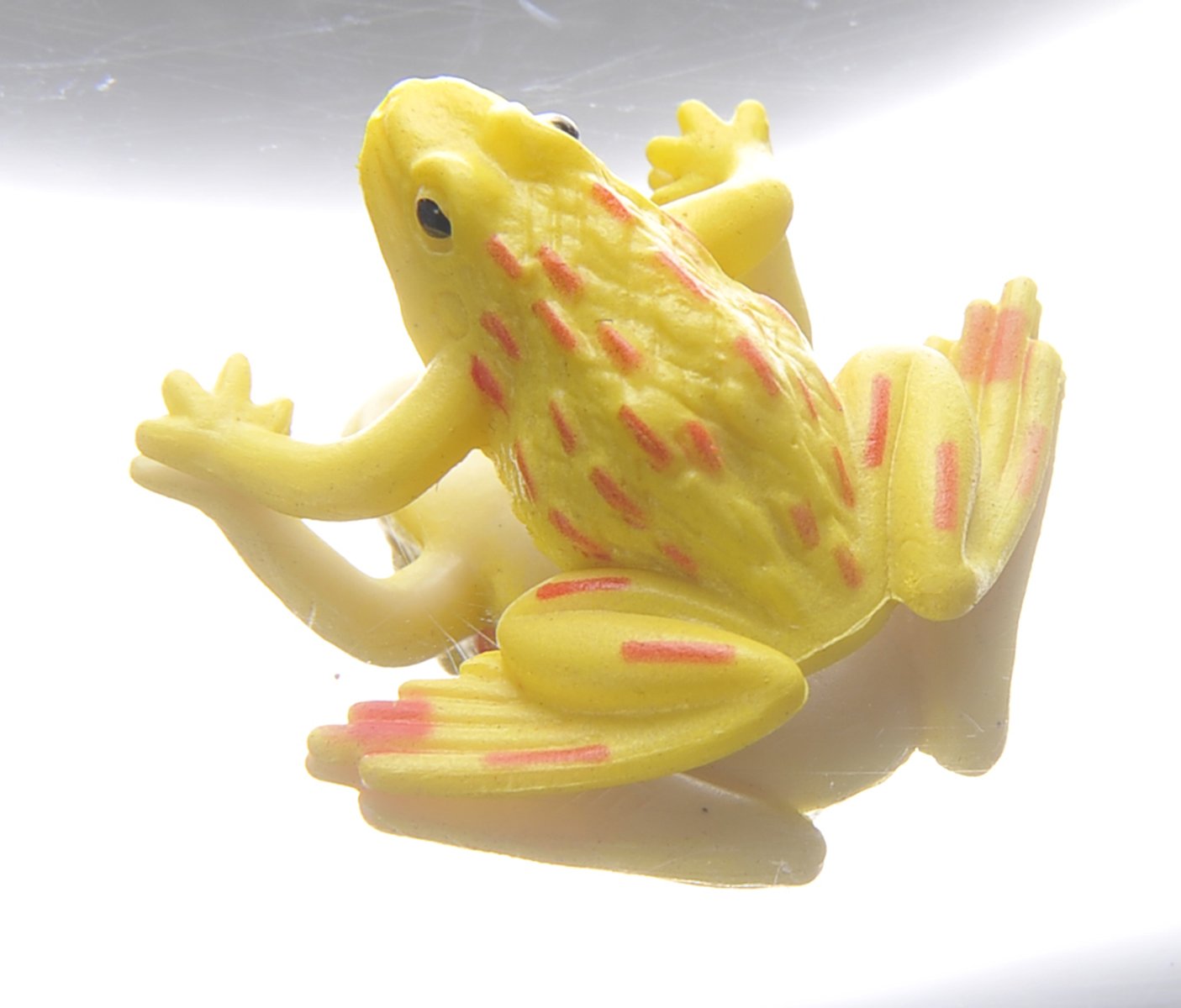 PowerTRC 6" 3-D Mirascope – Optical Illusion Toy with Holographic Projection and Included Frog