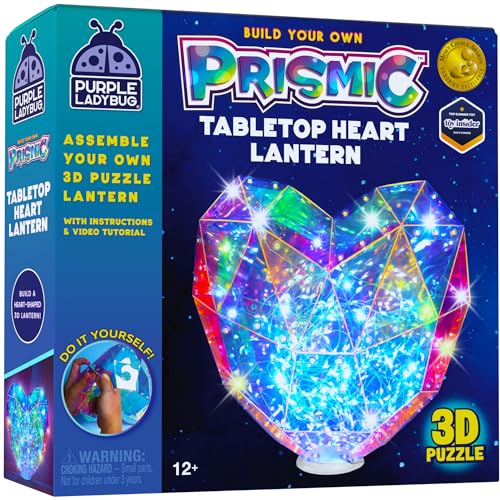 PURPLE LADYBUG 3D Heart Table Light DIY Kit for Kids 8+ – USB LED Lamp, Craft Gift for Tweens & Teens