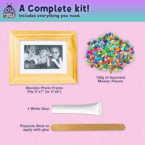 PURPLE LADYBUG DIY Mosaic Photo Frame Kit - Creative Craft for Kids Ages 6-12, Includes Mother of Pearl Shells, Wooden Frame, Glue & Spreader - Great Gift for Girls and Tweens