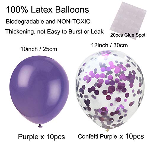 Purple Party Decorations Set – Birthday Banner, Curtains, Pompoms, Fans, Garland & Balloons