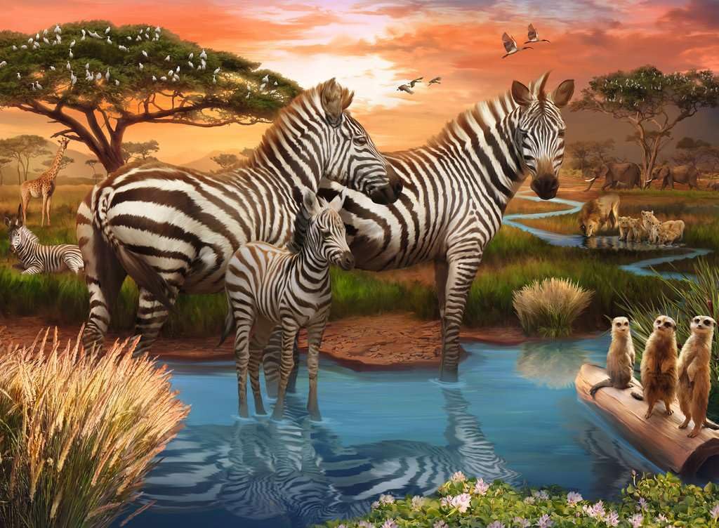 Ravensburger Zebra Jigsaw Puzzle, 500 Pieces – Softclick Technology, Glare-Free, FSC Certified