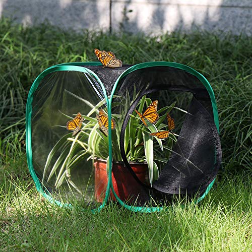 RESTCLOUD 12x12x12 Inch Pop-Up Butterfly Habitat Cage – Monarch & Insect Terrarium with Mesh Panels and Vinyl Window