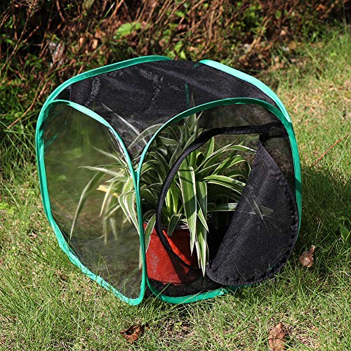 RESTCLOUD 12x12x12 Inch Pop-Up Butterfly Habitat Cage – Monarch & Insect Terrarium with Mesh Panels and Vinyl Window