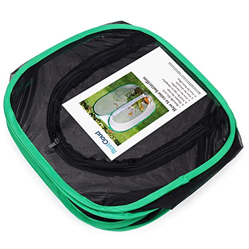 RESTCLOUD 12x12x12 Inch Pop-Up Butterfly Habitat Cage – Monarch & Insect Terrarium with Mesh Panels and Vinyl Window