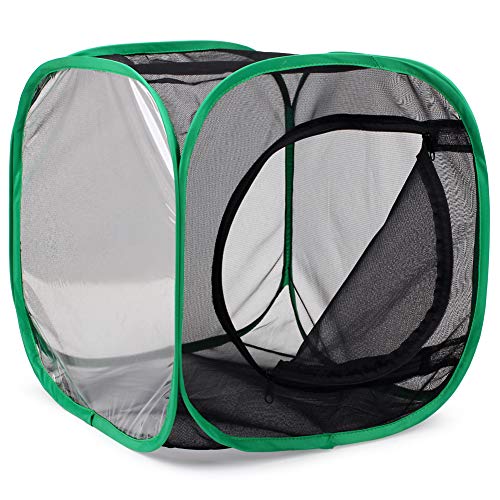 RESTCLOUD 12x12x12 Inch Pop-Up Butterfly Habitat Cage – Monarch & Insect Terrarium with Mesh Panels and Vinyl Window