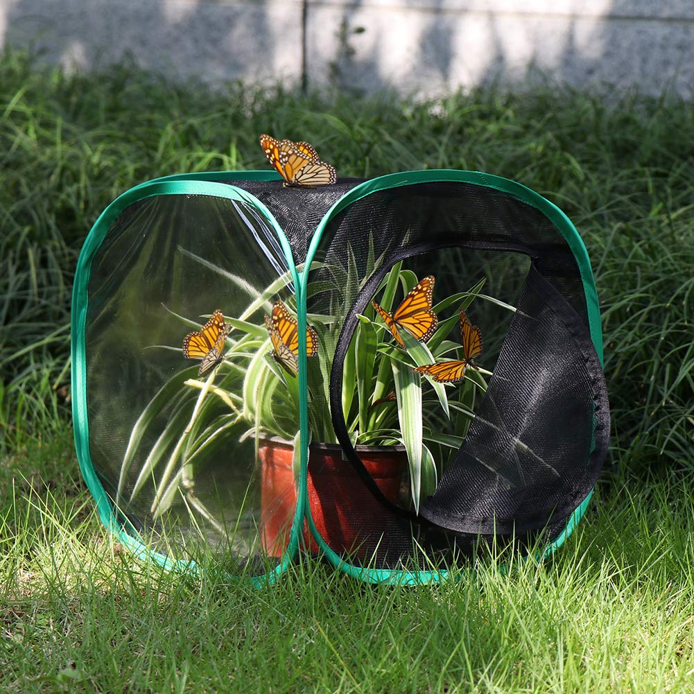 RESTCLOUD 12x12x12 Inch Pop-Up Butterfly Habitat Cage – Monarch & Insect Terrarium with Mesh Panels and Vinyl Window