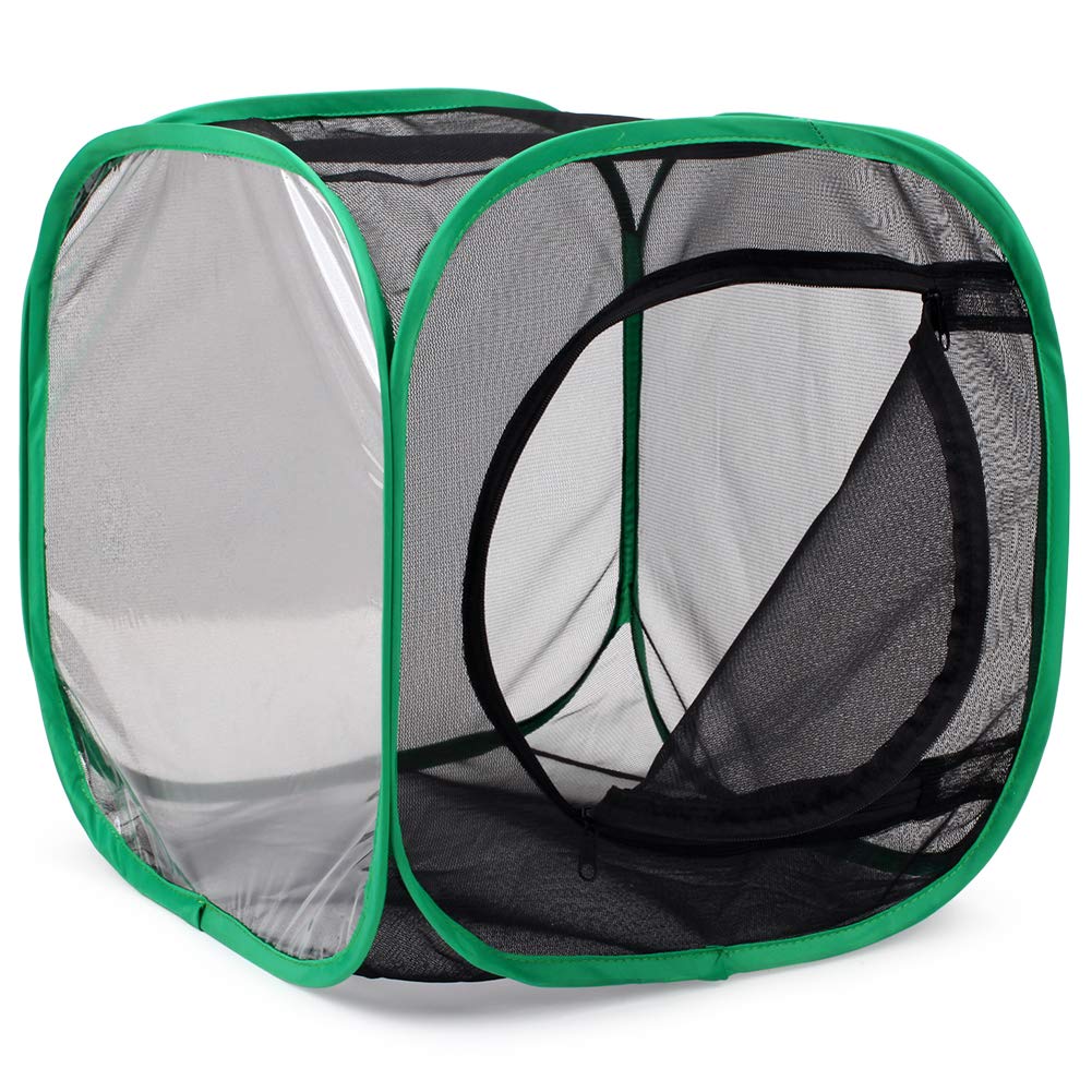 RESTCLOUD 12x12x12 Inch Pop-Up Butterfly Habitat Cage – Monarch & Insect Terrarium with Mesh Panels and Vinyl Window