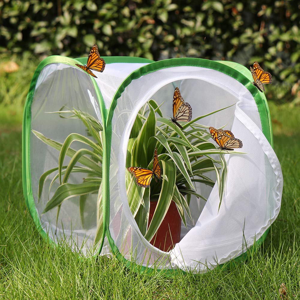 RESTCLOUD 12x12x12 Inch Pop-up Butterfly Habitat Cage with Mesh Panels