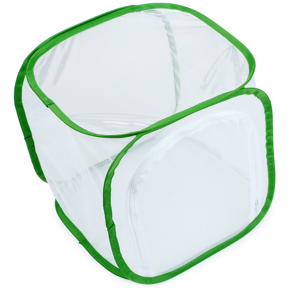 RESTCLOUD 12x12x12 Inch Pop-up Butterfly Habitat Cage with Mesh Panels