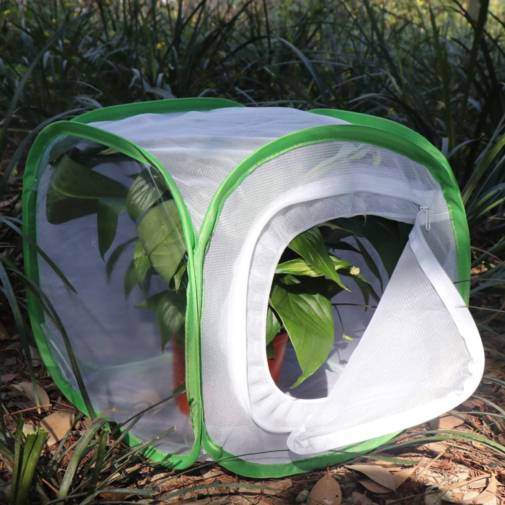 RESTCLOUD Insect and Butterfly Habitat Cage – 12" Pop-Up Terrarium with Zipper Protection