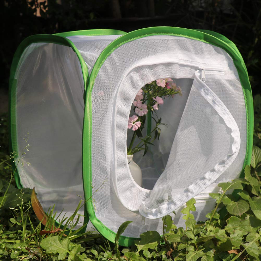 RESTCLOUD Insect and Butterfly Habitat Cage – 12" Pop-Up Terrarium with Zipper Protection