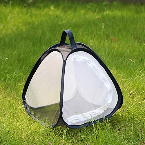 RESTCLOUD Mini Butterfly Habitat – Insect Mesh Cage 11x11x11 Inches with Clear Window