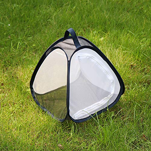 RESTCLOUD Mini Butterfly Habitat – Insect Mesh Cage 11x11x11 Inches with Clear Window