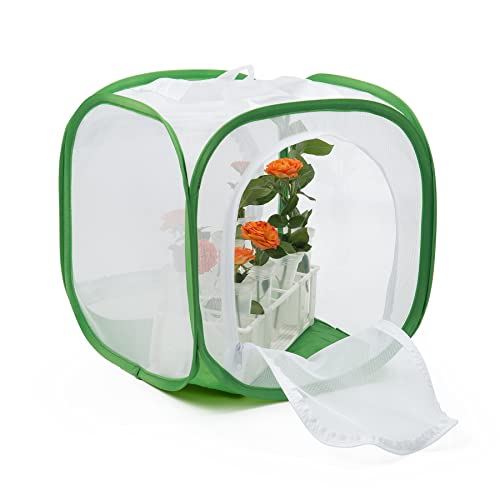 RESTCLOUD Two-Door Butterfly Habitat – 12x12x12 Pop-Up Mesh Cage with Clear Viewing Window