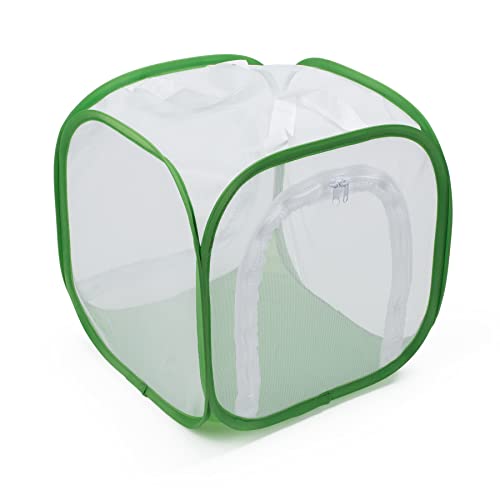 RESTCLOUD Two-Door Butterfly Habitat – 12x12x12 Pop-Up Mesh Cage with Clear Viewing Window