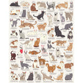 Ridley's 1,000-Piece Cat Lover's Jigsaw Puzzle – Learn 54 Cat Breeds, Includes Poster Guide, Sturdy Storage Tube, Finished Size 28" x 22"