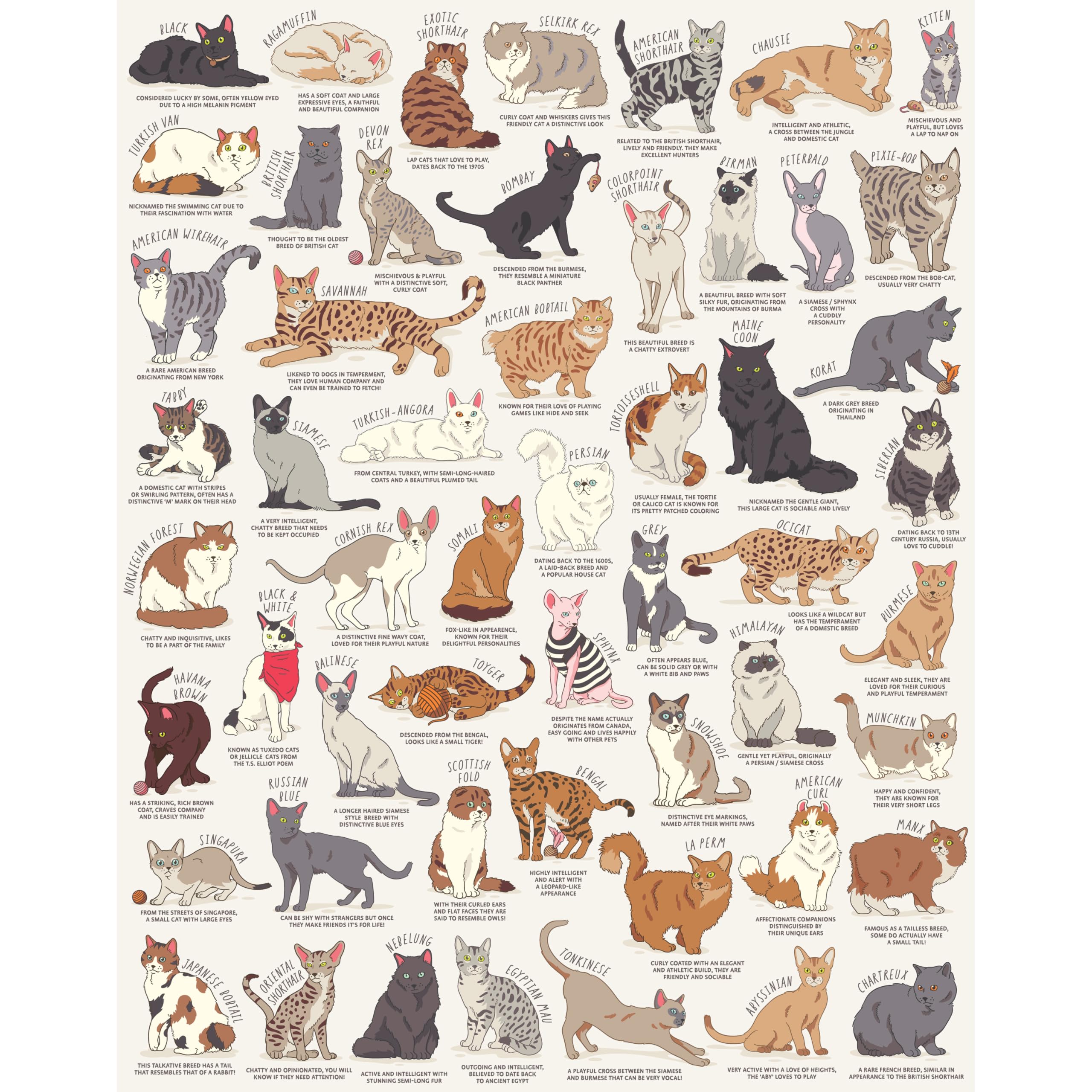 Ridley's 1,000-Piece Cat Lover's Jigsaw Puzzle – Learn 54 Cat Breeds, Includes Poster Guide, Sturdy Storage Tube, Finished Size 28" x 22"