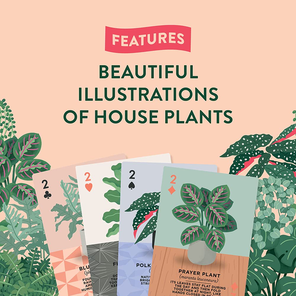 Ridley's Houseplants Playing Cards – 54 Unique Plant-Themed Cards in a Travel Tin