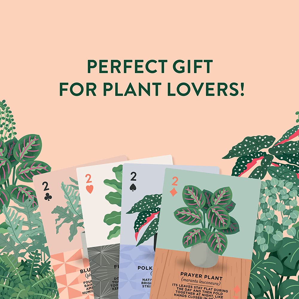 Ridley's Houseplants Playing Cards – 54 Unique Plant-Themed Cards in a Travel Tin