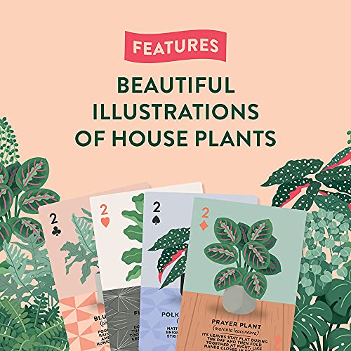 Ridley's Houseplants Playing Cards – 54 Unique Plant-Themed Cards in a Travel Tin