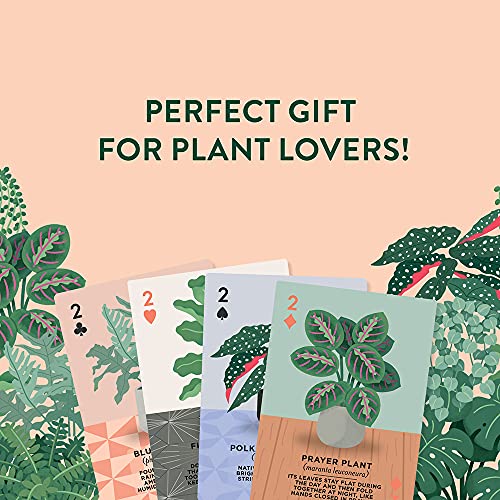 Ridley's Houseplants Playing Cards – 54 Unique Plant-Themed Cards in a Travel Tin