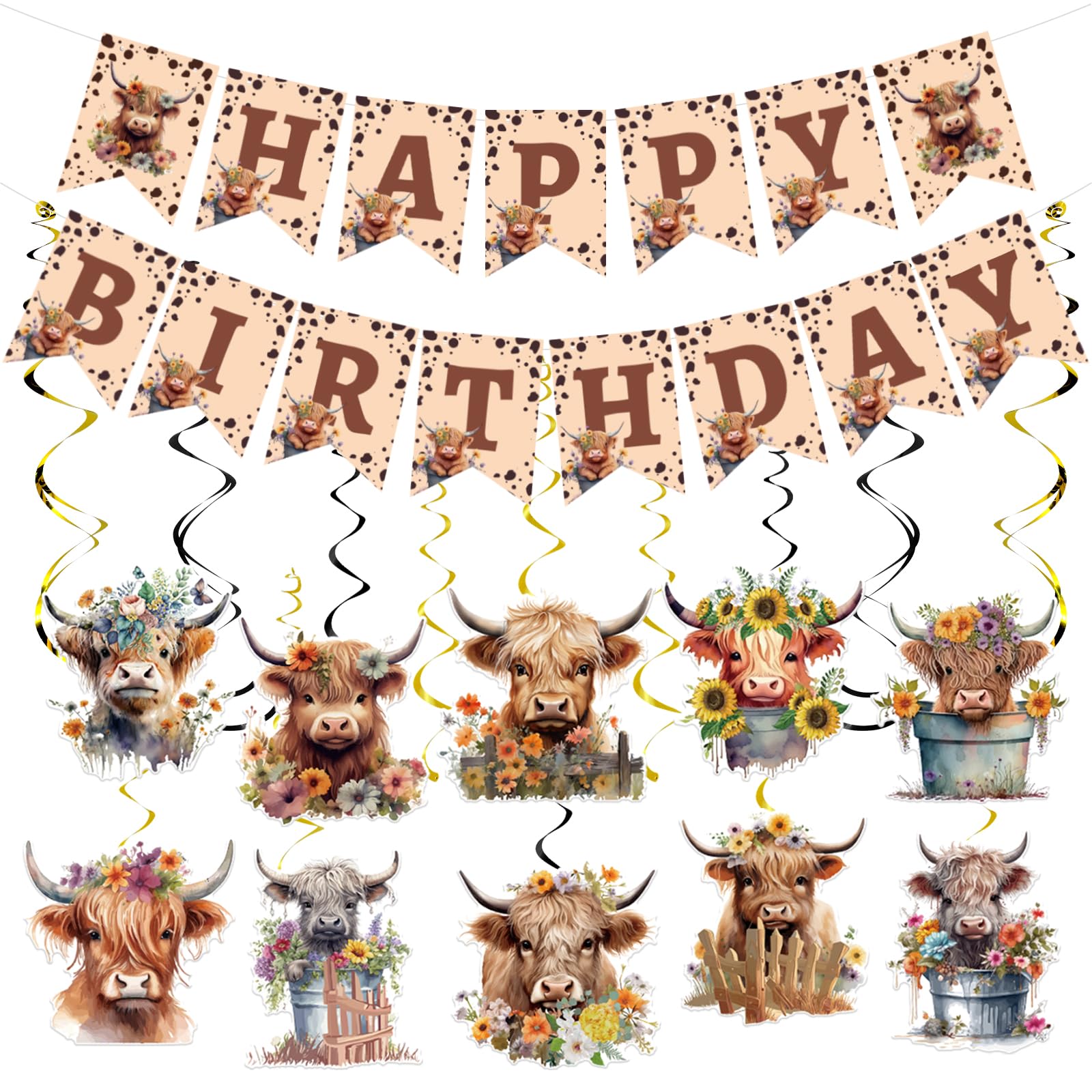 Rngmsi Highland Cow Birthday Decorations – 16-Piece Party Set with Banners and Swirls
