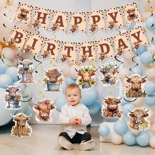 Rngmsi Highland Cow Birthday Decorations – 16-Piece Party Set with Banners and Swirls